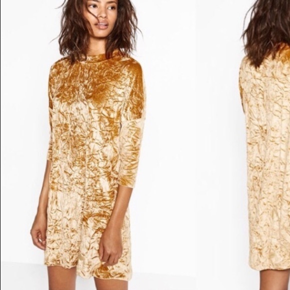 gold velour dress